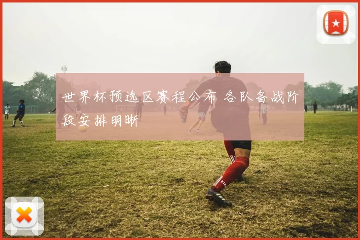世界杯预选区赛程公布 各队备战阶段安排明晰