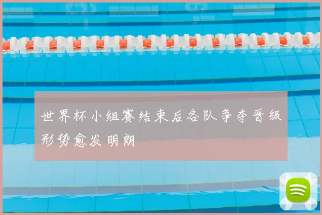 世界杯小组赛结束后各队争夺晋级形势愈发明朗