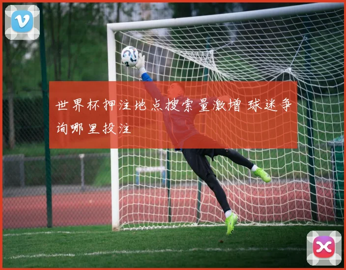 世界杯押注地点搜索量激增 球迷争询哪里投注