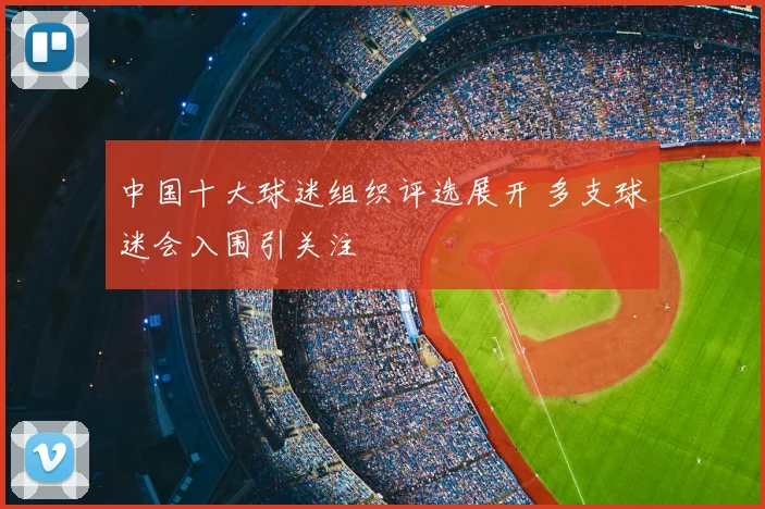 中国十大球迷组织评选展开 多支球迷会入围引关注