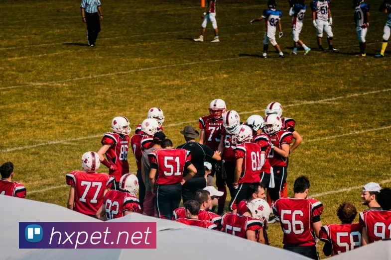 多媒体互动体验